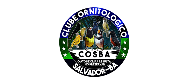 clube-ornitolgico-by-weet